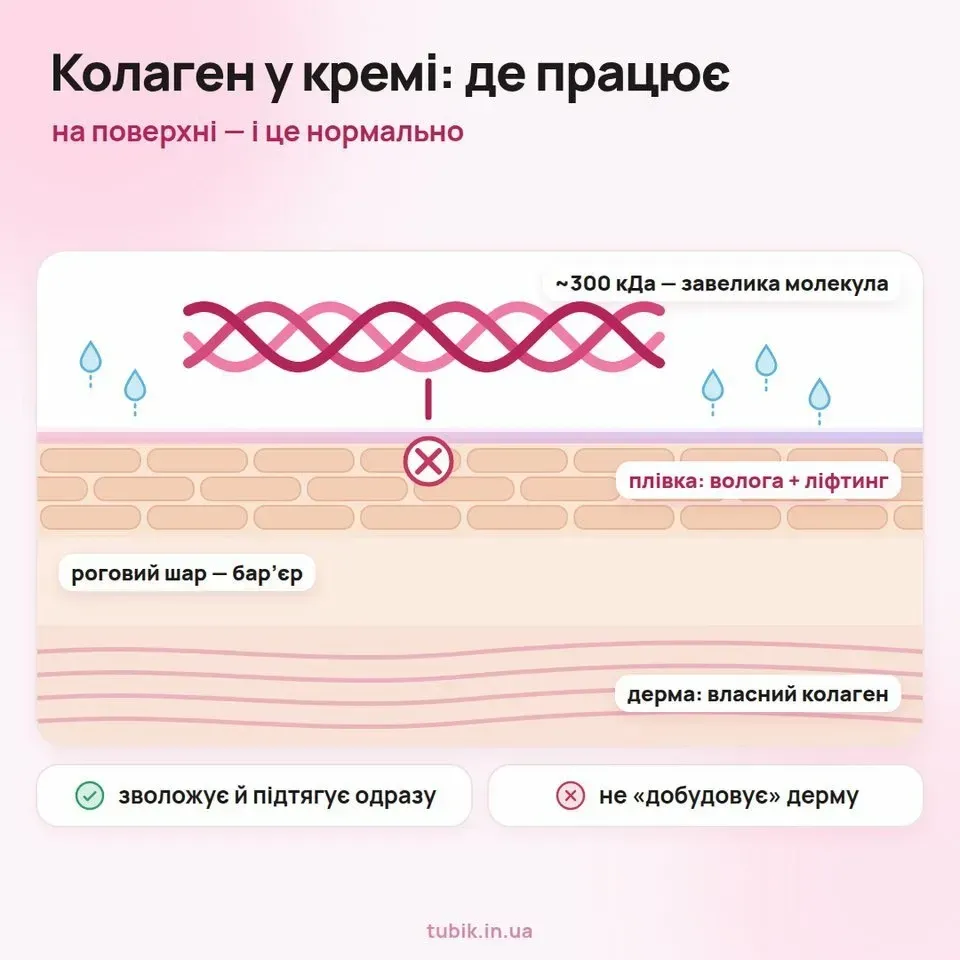 Колаген у кремі працює на поверхні: молекула ~300 кДа не проходить роговий шар, але зволожує й утворює плівку-ліфтинг