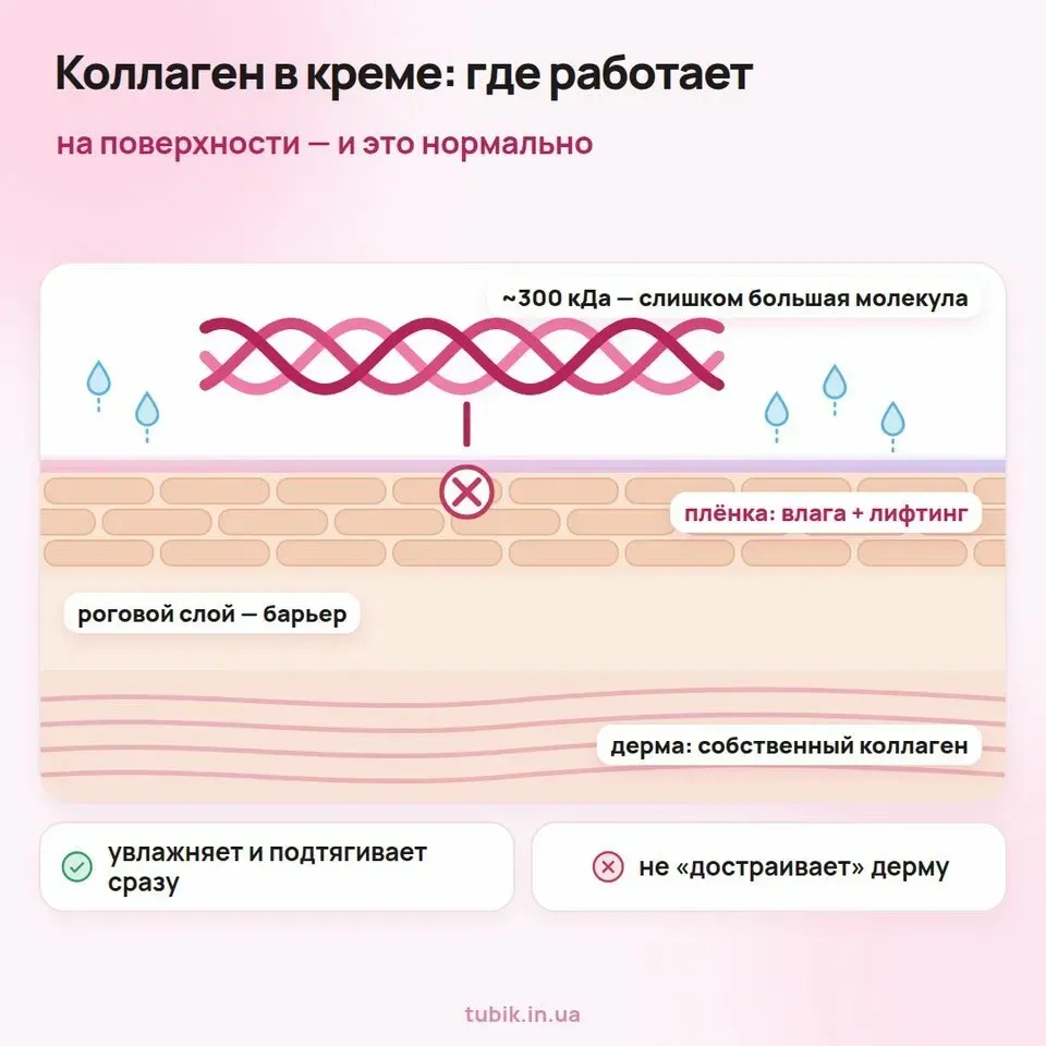Коллаген в креме работает на поверхности: молекула ~300 кДа не проходит роговой слой, но увлажняет и образует плёнку-лифтинг