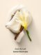Парфюмированный лосьон Victoria&rsquo;s Secret Coconut Passion Whipped, 250 мл &mdash; фото 2