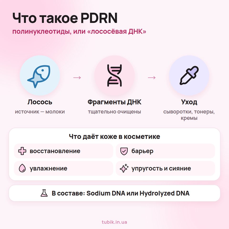 Что такое PDRN: полинуклеотиды — очищенные фрагменты ДНК из молок лосося; в косметике поддерживают восстановление, барьер, увлажнение, упругость и сияние